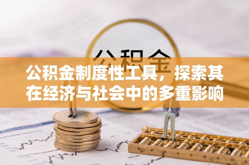 曲周公积金制度性工具，探索其在经济与社会中的多重影响