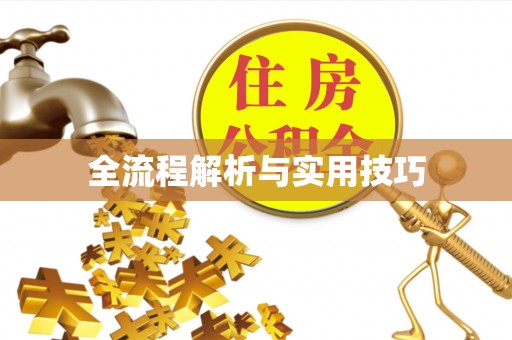 曲周全流程解析与实用技巧