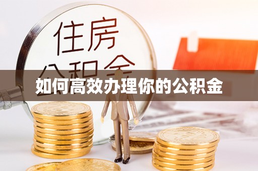 曲周如何高效办理你的公积金