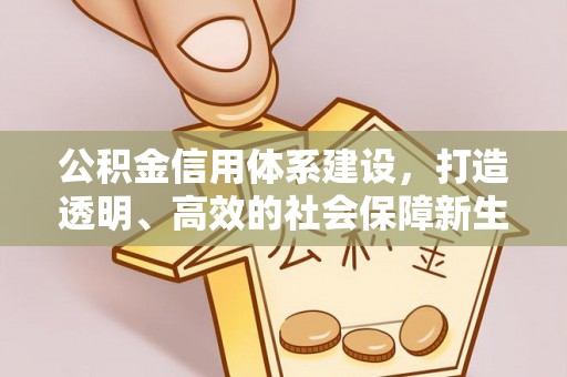 曲周公积金信用体系建设，打造透明、高效的社会保障新生态