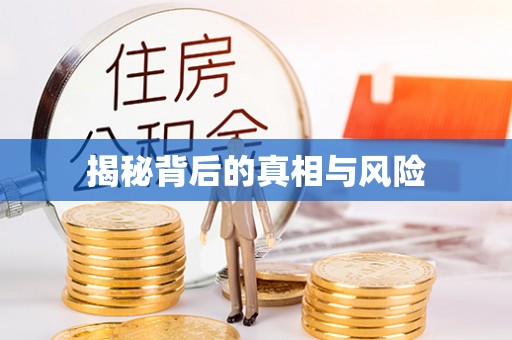 曲周揭秘背后的真相与风险