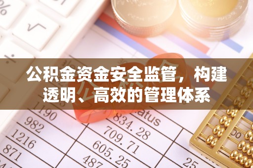 曲周公积金资金安全监管，构建透明、高效的管理体系