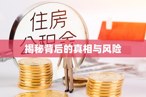 曲周揭秘背后的真相与风险