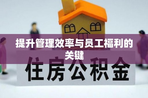 曲周提升管理效率与员工福利的关键