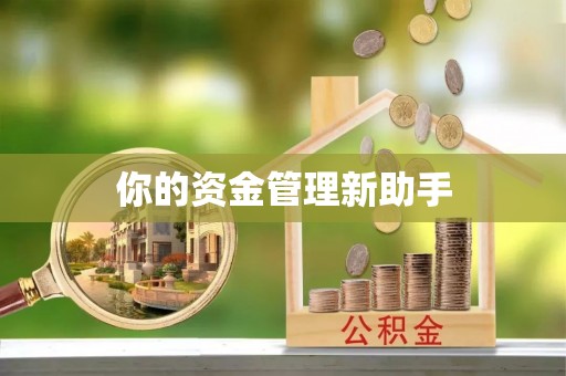 曲周你的资金管理新助手