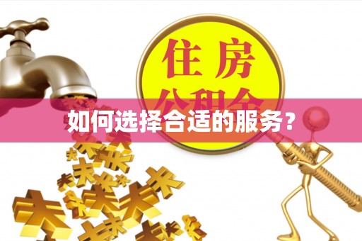 曲周如何选择合适的服务？