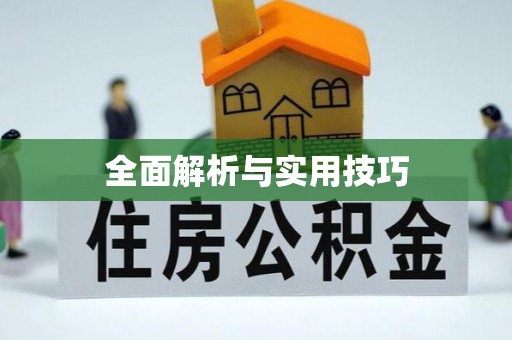 曲周全面解析与实用技巧