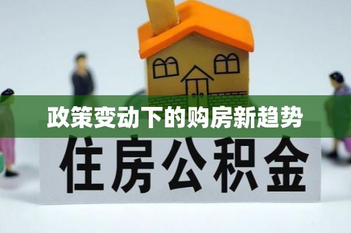 曲周政策变动下的购房新趋势