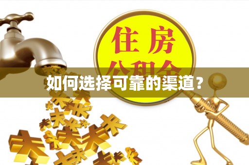曲周如何选择可靠的渠道？