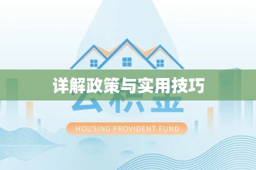 曲周详解政策与实用技巧