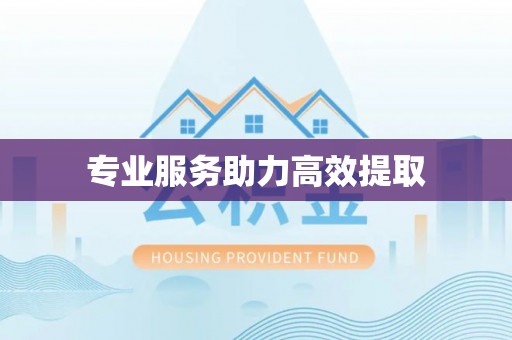 曲周专业服务助力高效提取